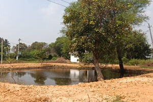 https://swachhamevajayate.com/wp-content/uploads/2022/12/blog-pic3-300x200.jpg