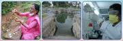 web banner 6